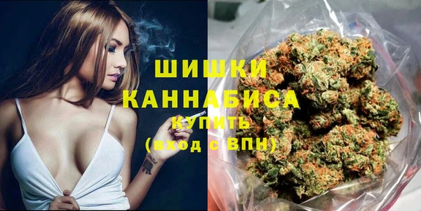 сатива Беломорск