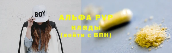 сатива Беломорск